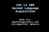 Week 11a. Neurolinguistics and bilingualism: Aphasia CAS LX 400 Second Language Acquisition.