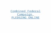 Combined Federal Campaign PLEDGING ONLINE. PLEDGING ONLINE Why Use the Internet? Fast & secure Easy search for charities Credit card giving now available.