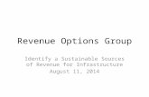 Revenue Options Group Identify a Sustainable Sources of Revenue for Infrastructure August 11, 2014.