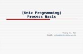 [Unix Programming] Process Basic Young-Ju, Han Email: yjhan@imtl.skku.ac.kr yjhan@imtl.skku.ac.kr.