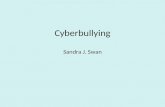 Cyberbullying Sandra J. Swan. iPod iPhone laptop PC computer FaceBook chatroom blog Role-playing games Cell phone MySpace Instant Messaging Skype Sharing.