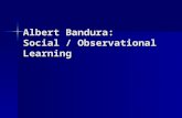 Albert Bandura: Social / Observational Learning. Basic Premise We learn behavior through observation We learn behavior through observation Vicarious reinforcement:
