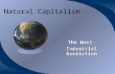 Natural Capitalism: The Next Industrial Revolution.