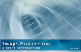 Image Processing A brief introduction (by Edgar Alejandro Guerrero Arroyo)