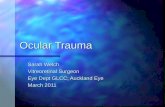 Ocular Trauma Sarah Welch Vitreoretinal Surgeon Eye Dept GLCC; Auckland Eye March 2011.