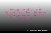 Design Studies and Sensor Test for the Beam Calorimeter of the ILC Detector E. Kuznetsova DESY Zeuthen.