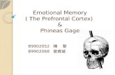 Emotional Memory ( The Prefrontal Cortex) & Phineas Gage B9902052 é™³ é» B9902068 ›¾è³‡–Œ