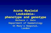 Acute Myeloid Leukaemia— phenotype and genotype Barbara J. Bain Department of Haematology St Mary’s Hospital, London.