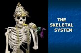 THE SKELETAL SYSTEM. What the Skeletal System Does... 5 major functions: 5 major functions: Shape and support Shape and support Movement Movement Protects.