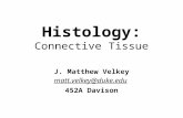 Histology: Connective Tissue J. Matthew Velkey matt.velkey@duke.edu 452A Davison