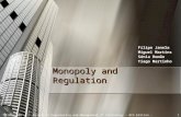 17/02/2006Master of Engineering and Management of Technology – 9th Edition - Microeconomics1 Monopoly and Regulation Filipe Janela Miguel Martins Sónia.