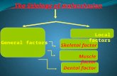 General factors The Etiology of malocclusion Local factors Skeletal factor Muscle factor Dental factor.