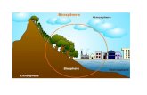 The lithosphere and the hydrosphere. THE LITHOSPHERE The lithosphere is the hard shell of the Earth, consisting of the crust and the topmost part of the.