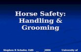 Horse Safety: Handling & Grooming Stephen R Schafer, EdD 2006 University of Wyoming.