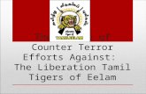 The Nature of Counter Terror Efforts Against: The Liberation Tamil Tigers of Eelam