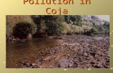 Pollution in Coja. Index  Introduction---------------------------------------3  Water pollution----------------------------------4  Soil pollution-