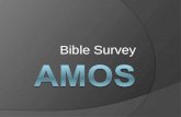 Bible Survey. Bible Survey - Amos Title: 1. Hebrew – sAmê[' 2. Greek – Amwj 3. Latin – Amos.