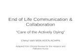 End of Life Communication & Collaboration “Care of the Actively Dying” Cheryl Vahl MSN AOCN ACHPN Adapted from Clinical Review for the Hospice and Palliative.