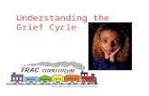 Understanding the Grief Cycle. Introduction Activity.