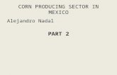 CORN PRODUCING SECTOR IN MEXICO Alejandro Nadal PART 2.