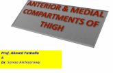 Prof. Ahmed Fathalla & Dr Dr. Sanaa Alshaarawy. OBJECTIVES At the end of the lecture, students should: the name anterior compartment of thigh.  List.