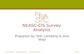 NEASC-CIS Survey Analysis Prepared by: Niki Lamberg & Ana Volpi (617) 869-8695 nl@nlamberg.com  Page 1.