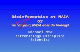 Bioinformatics at NASA or Yes Virginia, NASA does do biology! Michael New Astrobiology Discipline Scientist Maryland.