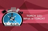 TORCH 101: What is TORCH? Sarah Brown- TORCH Chair