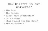 How bizarre is our universe? The Past The Future Black Hole Evaporation Dark Energy What Caused the Big Bang? The Multiverse.