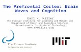 The Prefrontal Cortex: Brain Waves and Cognition Earl K. Miller The Picower Institute for Learning and Memory and Department of Brain and Cognitive Sciences,