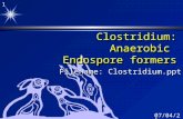 1 5/9/2015 Clostridium: Anaerobic Endospore formers Filename: