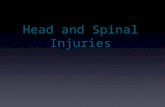 Head and Spinal Injuries. Scalp Wounds Bleed profusely because the scalp has a rich blood supply and the blood vessels there do not constrict Severe scalp.