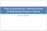 Audrey Smith The Evolutionary Mechanisms of Bacterial Protein Toxins.