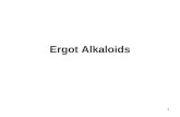 1 Ergot Alkaloids. 2 Ergot is a fungal disease commonly found on many wild and cultivated grasses, and is caused by species of Claviceps. The disease.