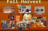 Fall Harvest Theme. How Environment Meets the Needs of Target Students Areas, objects and everyday items marked with words & pictures Areas, objects and