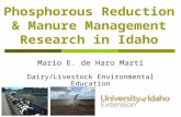 Phosphorous Reduction & Manure Management Research in Idaho Mario E. de Haro Martí Dairy/Livestock Environmental Education.