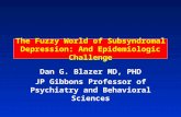 The Fuzzy World of Subsyndromal Depression: And Epidemiologic Challenge Dan G. Blazer MD, PHD JP Gibbons Professor of Psychiatry and Behavioral Sciences.