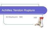 Achilles Tendon Rupture M.Mazloumi MD. Anatomy Largest tendon in the body Origin from gastrocnemius and soleus muscles Insertion on calcaneal tuberosity.