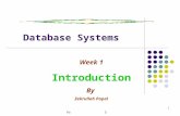 Prentice Hall, 2003 1 Database Systems Week 1 Introduction By Zekrullah Popal.