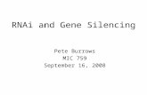 RNAi and Gene Silencing Pete Burrows MIC 759 September 16, 2008.