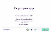 See and Treat 2007 KRIOTERAPI Cryotyerapy Gatot Purwoto, MD Gyne-Onocologist Univ of Indonesia Jakarta Indonesia.