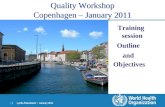 Lynda Paleshnuik | January 2011 1 |1 | Quality Workshop Copenhagen – January 2011 Training session Outline and Objectives.