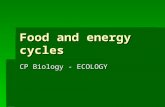 Food and energy cycles CP Biology - ECOLOGY. Energy flow AAAAn ecosystems energy budget is determined by the amount of photosynthetic activity of.