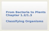 From Bacteria to Plants Chapter 1.2/1.3 Classifying Organisms.