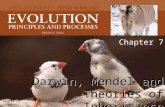 Darwin, Mendel and Theories of Inheritance Chapter 7 Darwin, Mendel and Theories of Inheritance Figure CO: Finches.