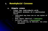 I. I.Monohybrid Crosses A. A.Simple cross Cross two individuals with different alleles at a particular locus Individual may have one or two copies of allele.