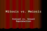 Mitosis vs. Meiosis Asexual vs. Sexual Reproduction