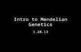 Intro to Mendelian Genetics 1.28.13. What is genetics?
