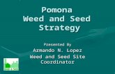 Pomona Weed and Seed Strategy Presented By Armando N. Lopez Weed and Seed Site Coordinator.