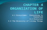 4.1 Ecosystems: Everything Is Connected 4.2 Evolution 4.3 The Diversity of Living Things.